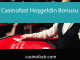 Casinofast hoşgeldin bonusu vesilesiyle ön alandadır.